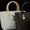 Luxury Bags Puffer Style